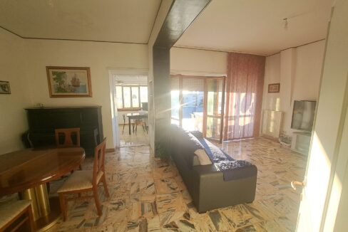 salone