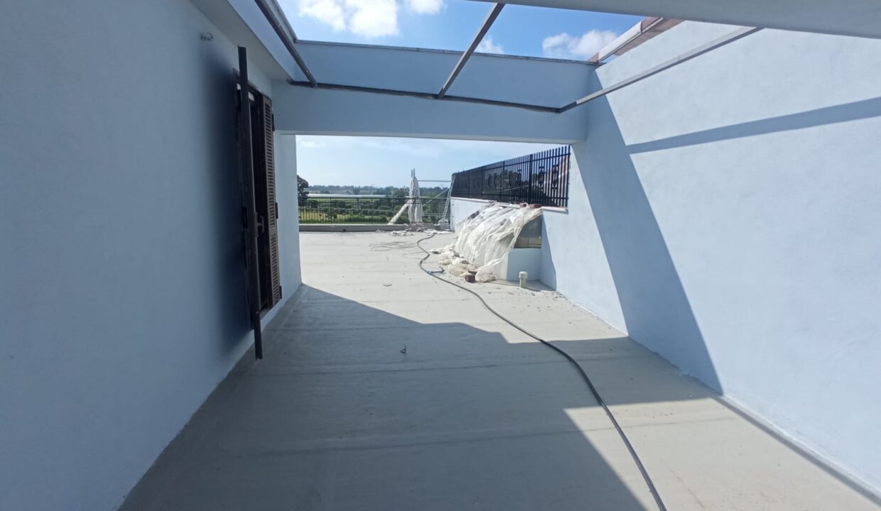 fuori 11