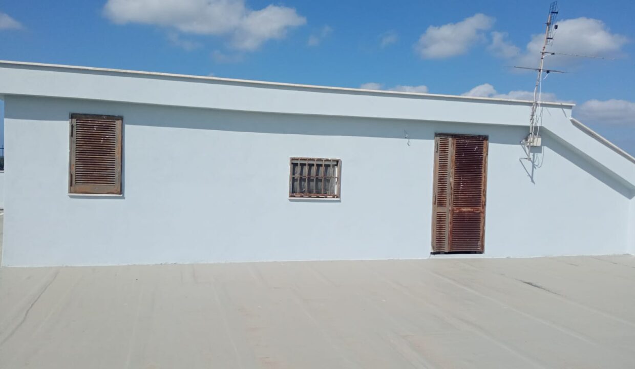 fuori 3