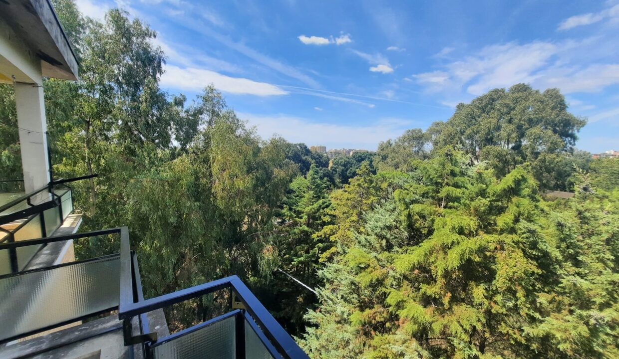 vista