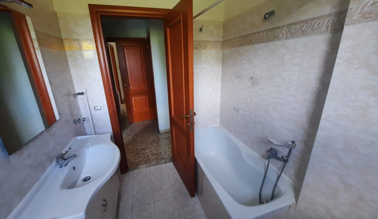wc2