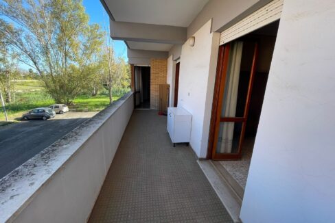 terrazzo 2